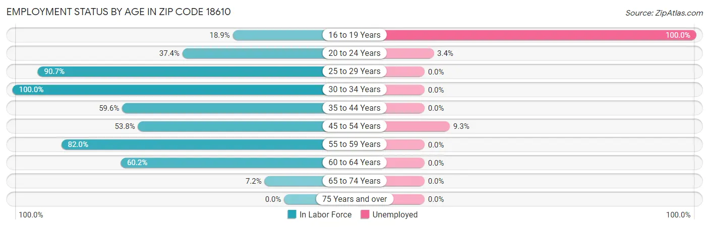 Employment Status by Age in Zip Code 18610