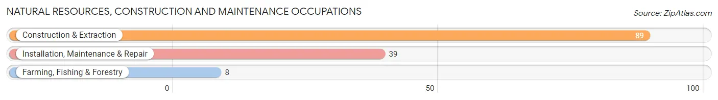 Natural Resources, Construction and Maintenance Occupations in Zip Code 18614