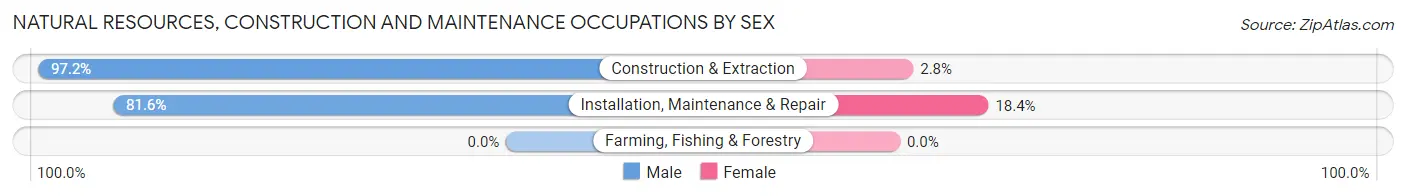 Natural Resources, Construction and Maintenance Occupations by Sex in Zip Code 18615