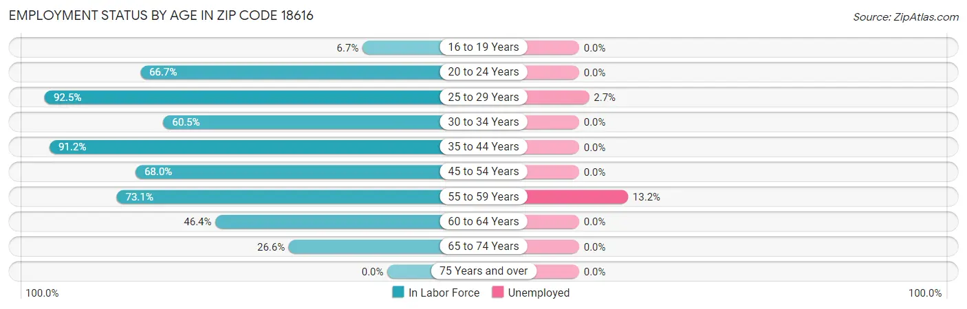 Employment Status by Age in Zip Code 18616