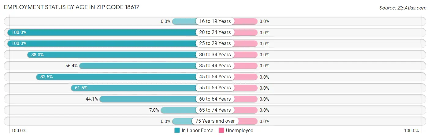 Employment Status by Age in Zip Code 18617