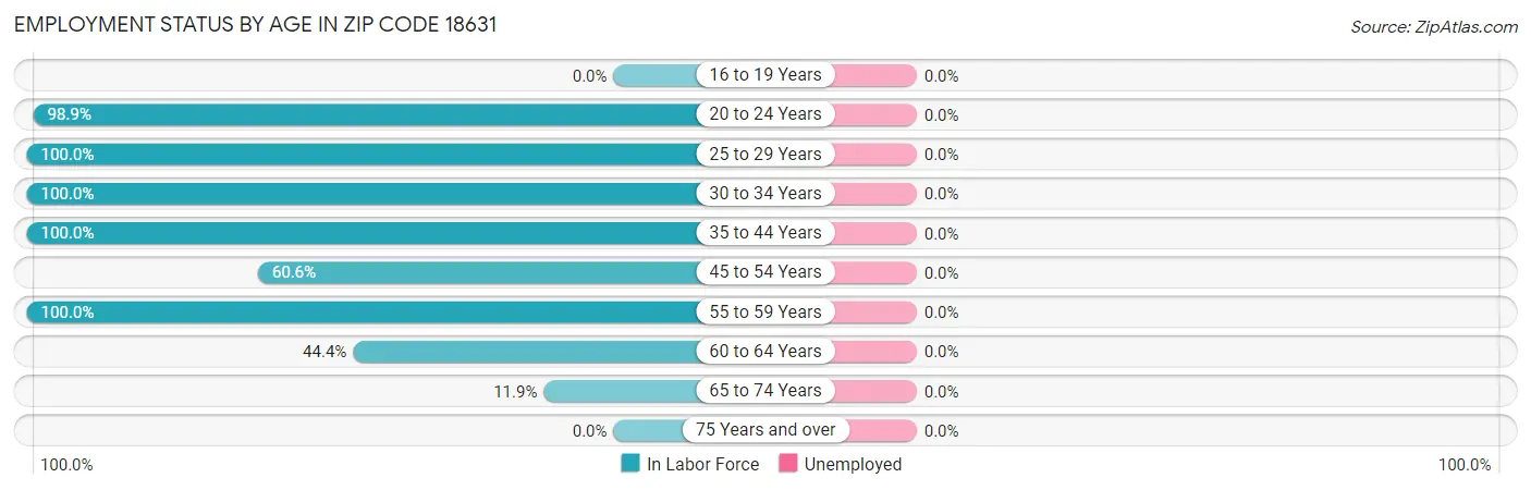 Employment Status by Age in Zip Code 18631