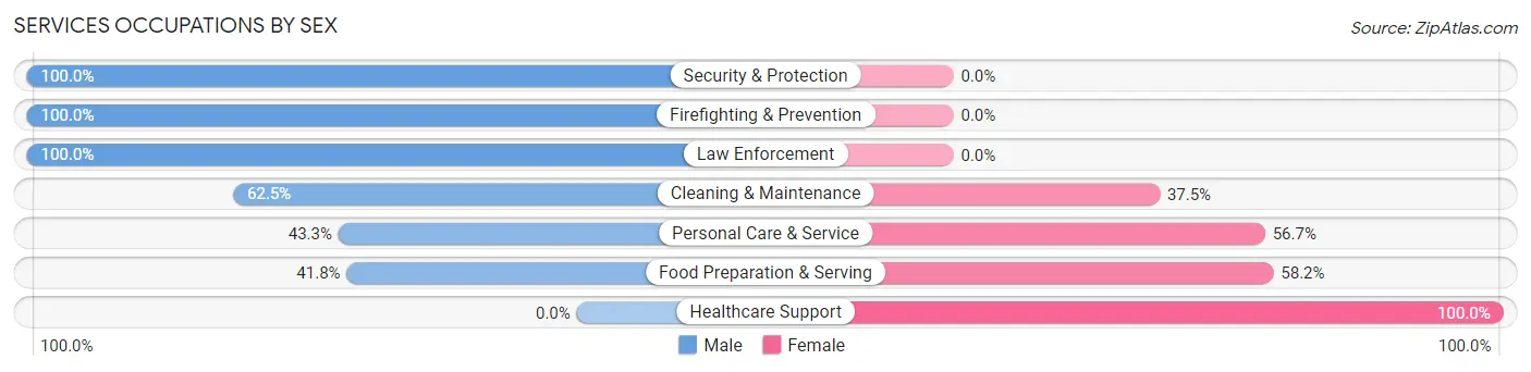 Services Occupations by Sex in Zip Code 18636