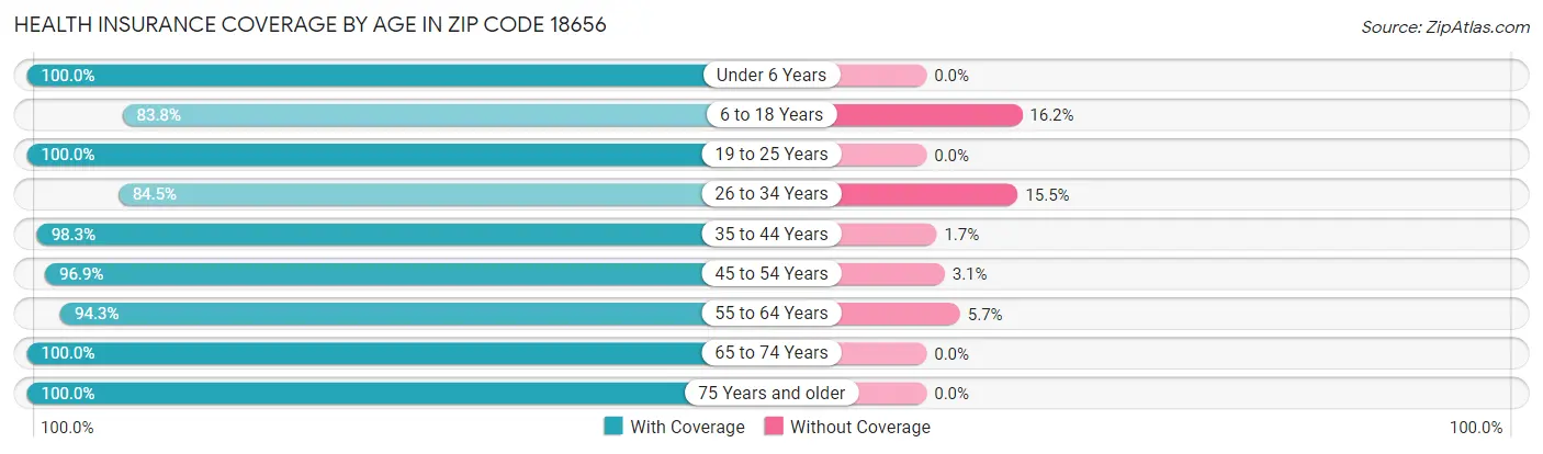 Health Insurance Coverage by Age in Zip Code 18656
