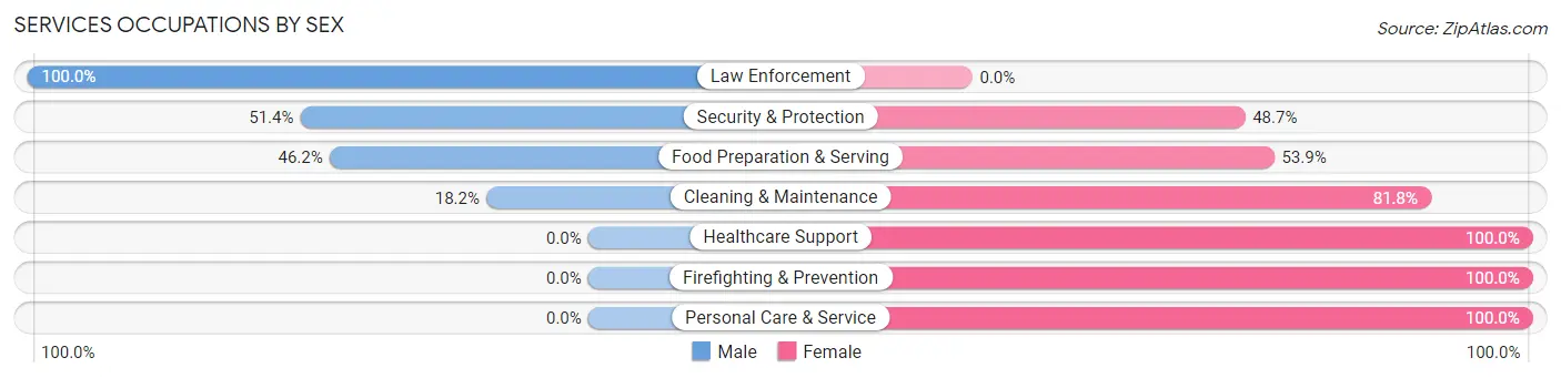 Services Occupations by Sex in Zip Code 18656