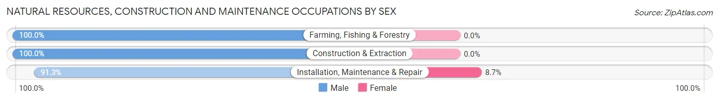Natural Resources, Construction and Maintenance Occupations by Sex in Zip Code 18657