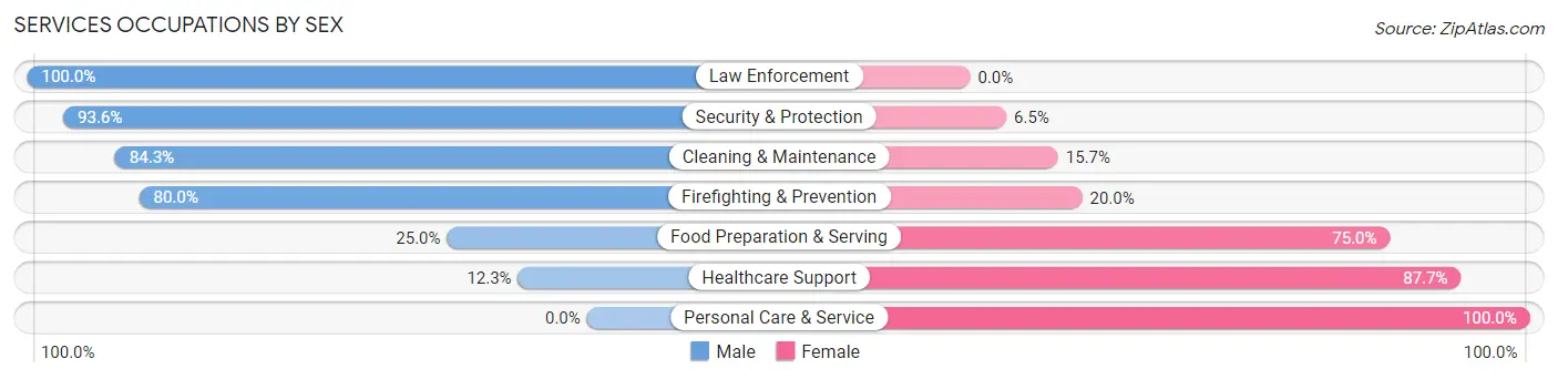 Services Occupations by Sex in Zip Code 18660