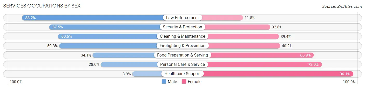 Services Occupations by Sex in Zip Code 18702