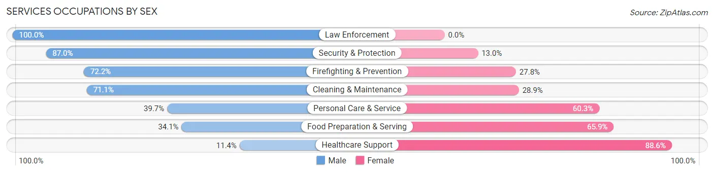 Services Occupations by Sex in Zip Code 18704