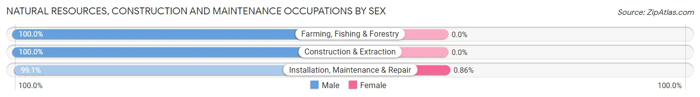Natural Resources, Construction and Maintenance Occupations by Sex in Zip Code 18705