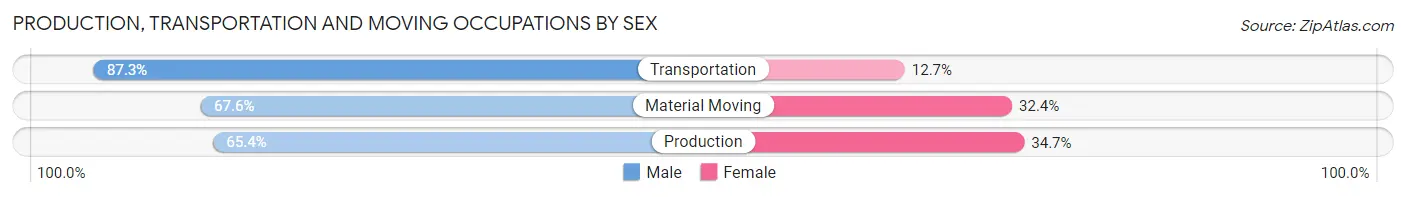 Production, Transportation and Moving Occupations by Sex in Zip Code 18707