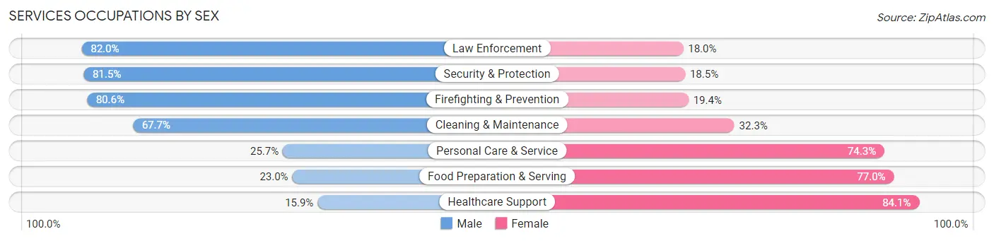 Services Occupations by Sex in Zip Code 18707
