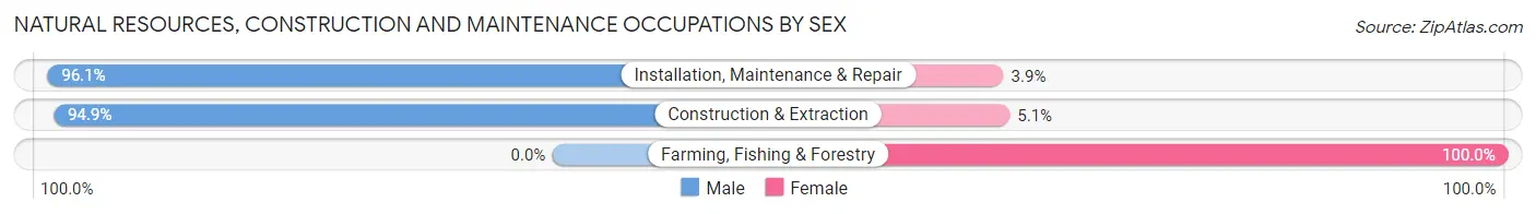 Natural Resources, Construction and Maintenance Occupations by Sex in Zip Code 18708