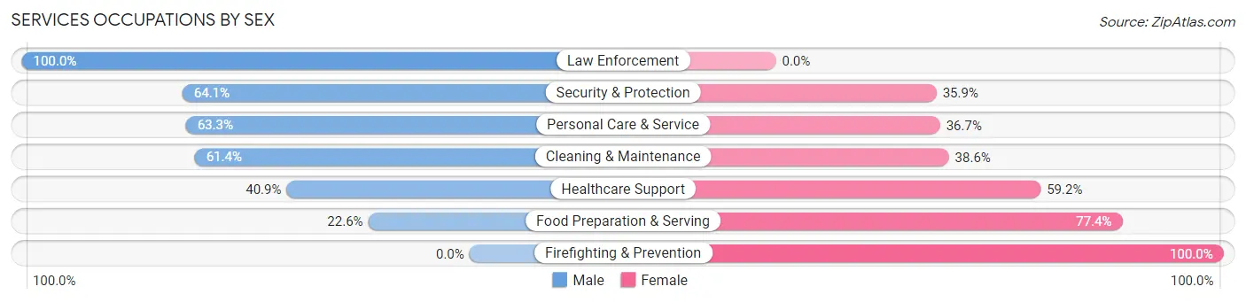 Services Occupations by Sex in Zip Code 18708