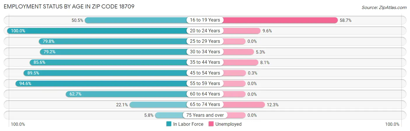 Employment Status by Age in Zip Code 18709