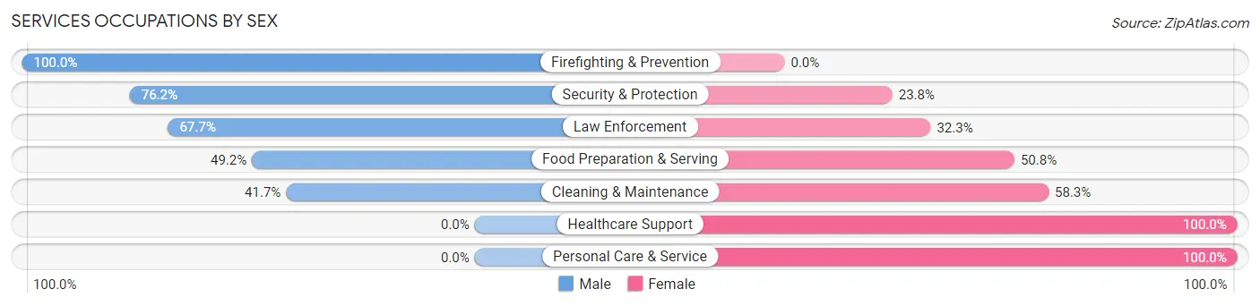 Services Occupations by Sex in Zip Code 18709