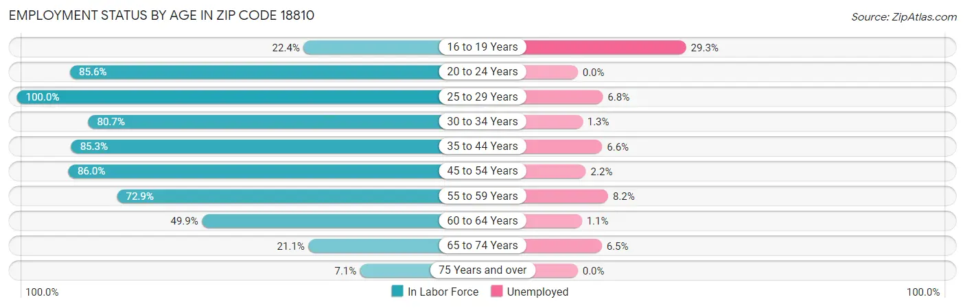 Employment Status by Age in Zip Code 18810
