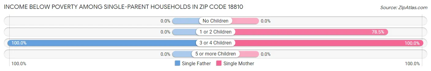 Income Below Poverty Among Single-Parent Households in Zip Code 18810