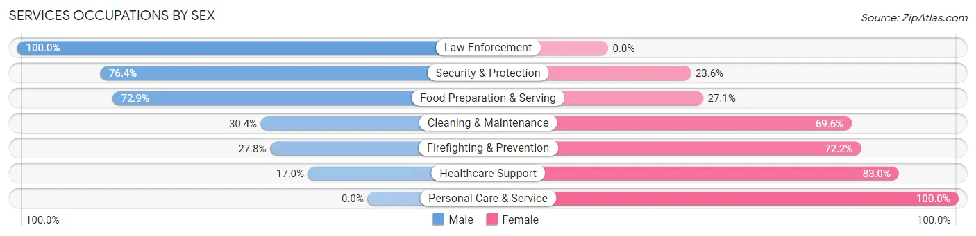Services Occupations by Sex in Zip Code 18810