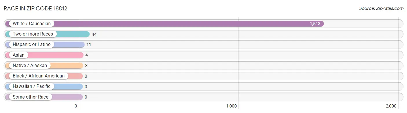 Race in Zip Code 18812