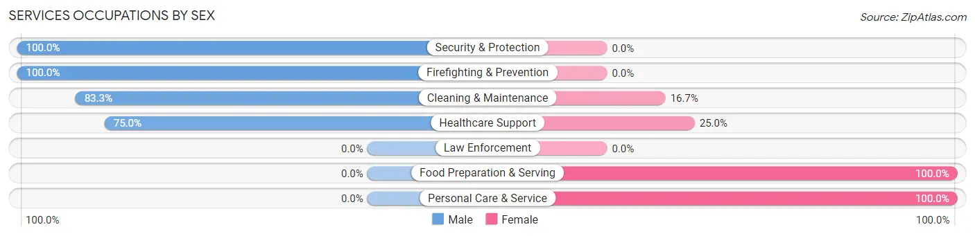 Services Occupations by Sex in Zip Code 18812