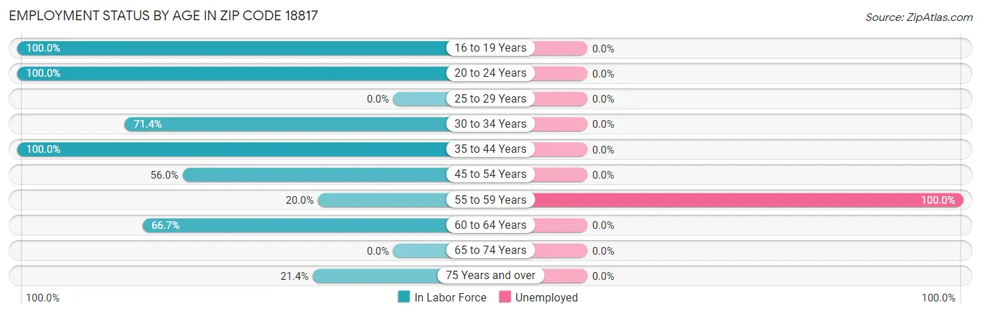 Employment Status by Age in Zip Code 18817