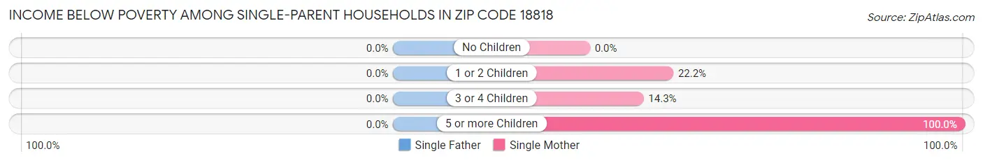 Income Below Poverty Among Single-Parent Households in Zip Code 18818