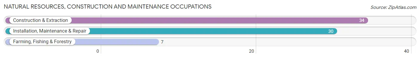 Natural Resources, Construction and Maintenance Occupations in Zip Code 18821