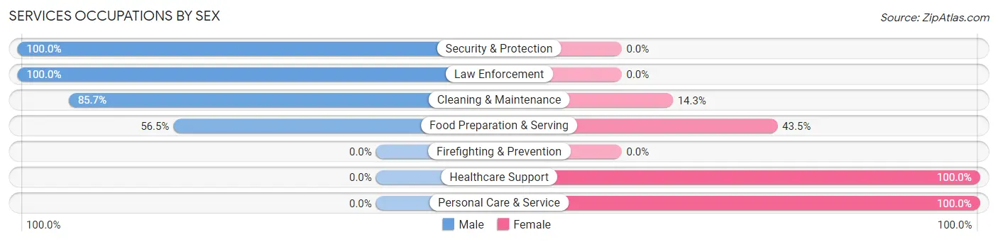 Services Occupations by Sex in Zip Code 18821