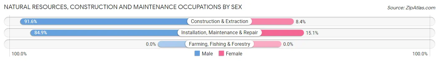 Natural Resources, Construction and Maintenance Occupations by Sex in Zip Code 18822