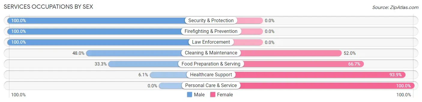 Services Occupations by Sex in Zip Code 18822