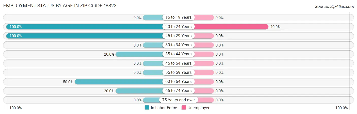 Employment Status by Age in Zip Code 18823