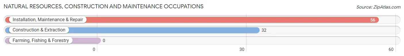 Natural Resources, Construction and Maintenance Occupations in Zip Code 18824