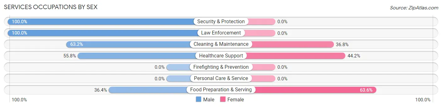 Services Occupations by Sex in Zip Code 18824
