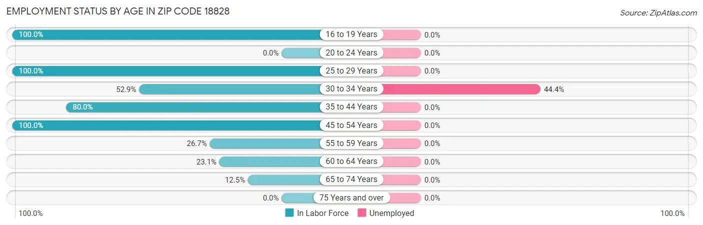 Employment Status by Age in Zip Code 18828