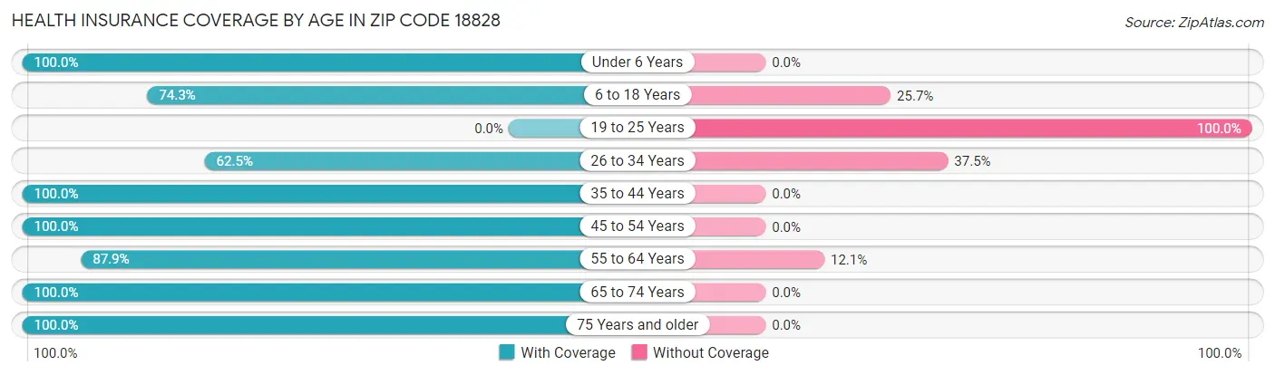 Health Insurance Coverage by Age in Zip Code 18828