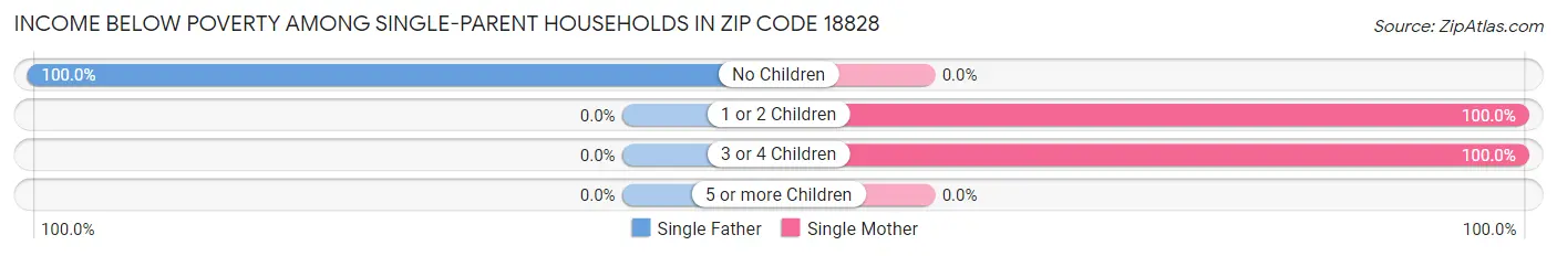 Income Below Poverty Among Single-Parent Households in Zip Code 18828