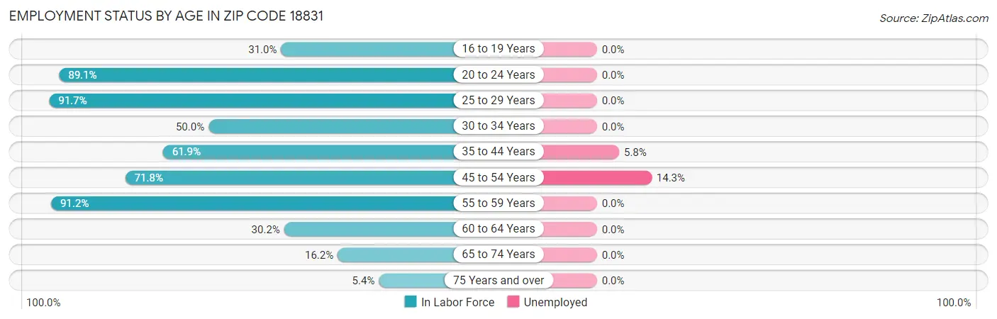 Employment Status by Age in Zip Code 18831