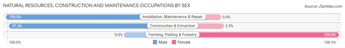 Natural Resources, Construction and Maintenance Occupations by Sex in Zip Code 18833
