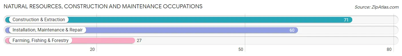 Natural Resources, Construction and Maintenance Occupations in Zip Code 18837