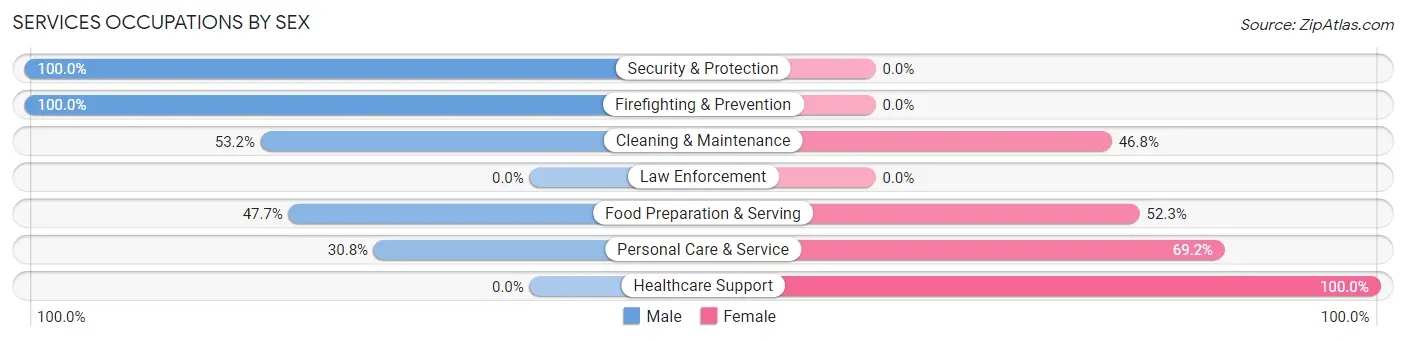 Services Occupations by Sex in Zip Code 18840