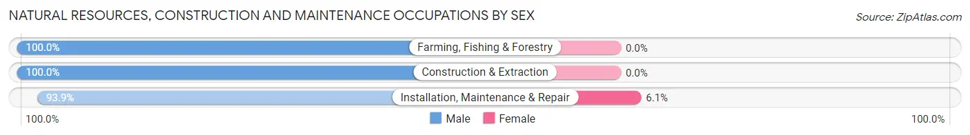 Natural Resources, Construction and Maintenance Occupations by Sex in Zip Code 18844