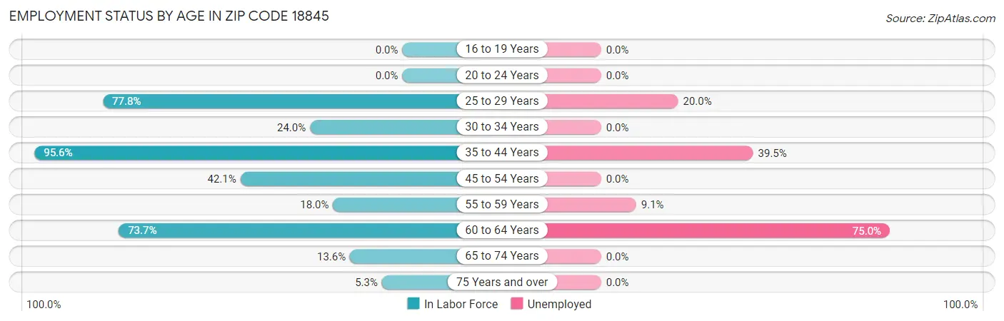 Employment Status by Age in Zip Code 18845