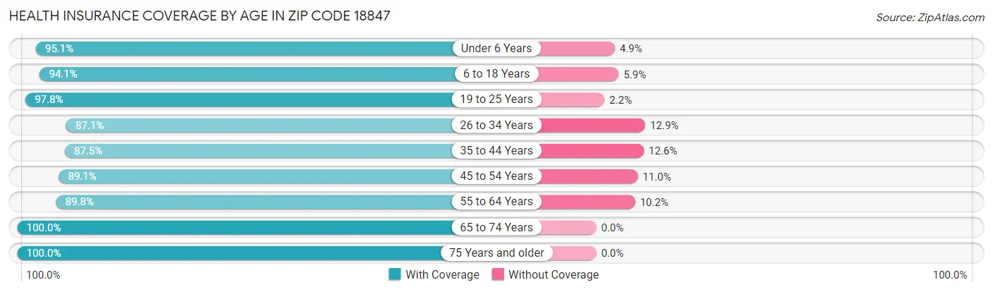 Health Insurance Coverage by Age in Zip Code 18847