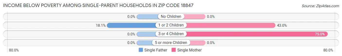 Income Below Poverty Among Single-Parent Households in Zip Code 18847