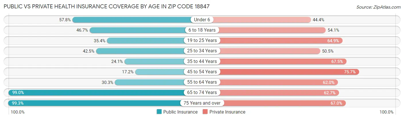 Public vs Private Health Insurance Coverage by Age in Zip Code 18847