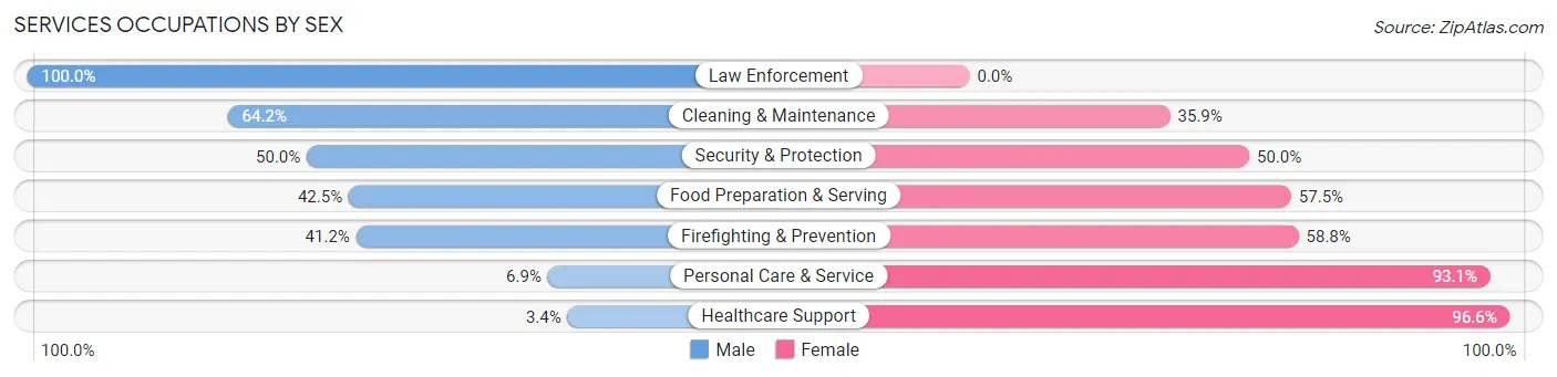 Services Occupations by Sex in Zip Code 18847