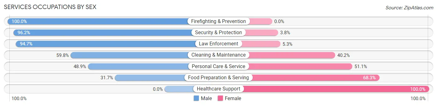 Services Occupations by Sex in Zip Code 18848