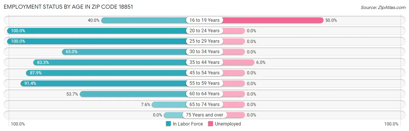 Employment Status by Age in Zip Code 18851