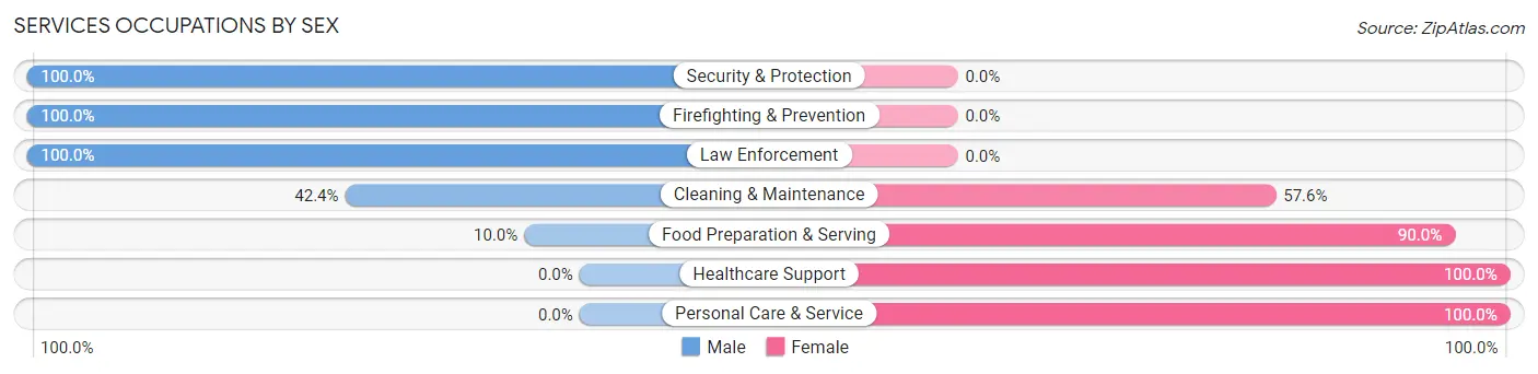 Services Occupations by Sex in Zip Code 18854